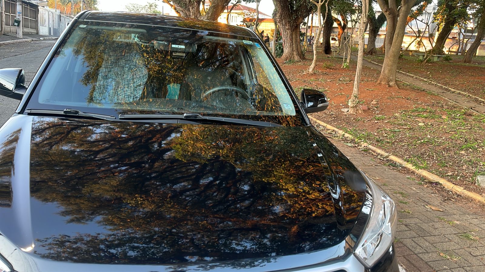 Preto refletindo as árvores como espelho